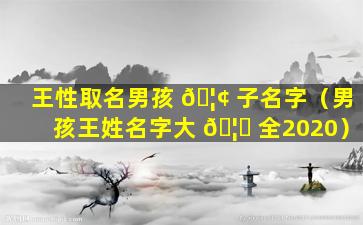 王性取名男孩 🦢 子名字（男孩王姓名字大 🦈 全2020）